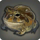 Grade 3 Skybuilders' Toad